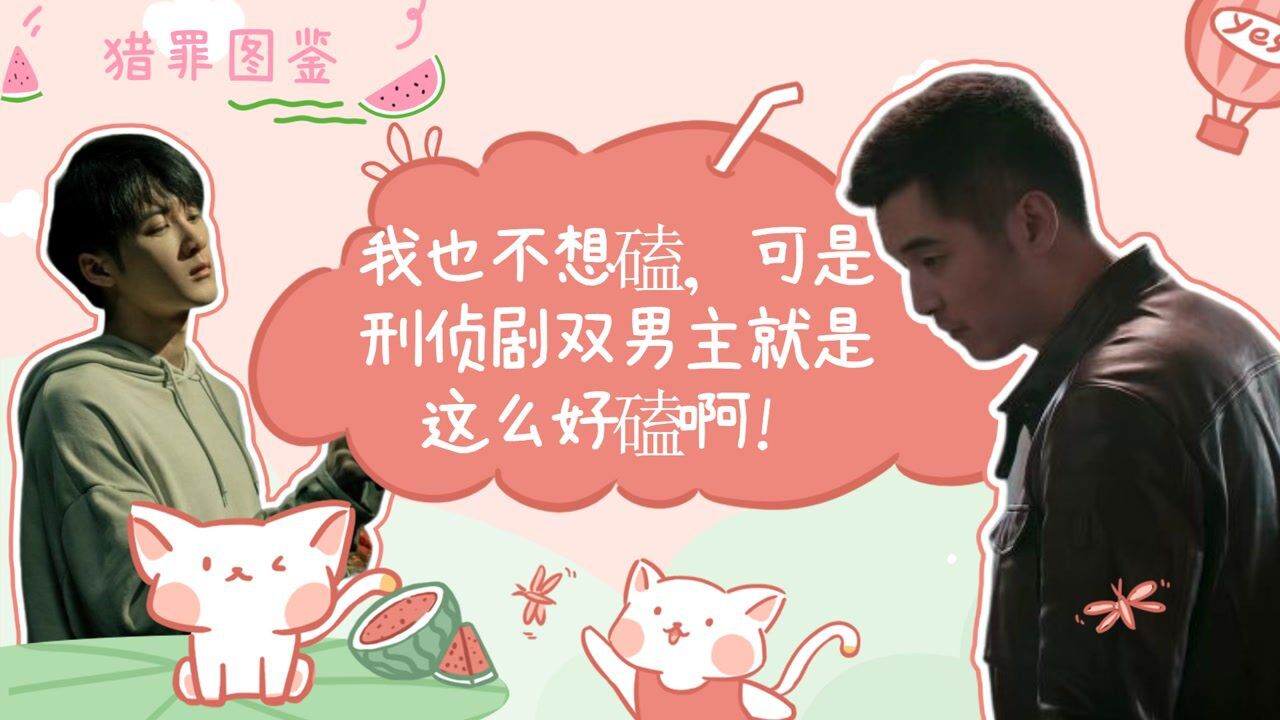 猎罪图鉴沈翊x杜城神探出击好久不见