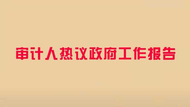 审计署南京办李婷审计人热议政府工作报告