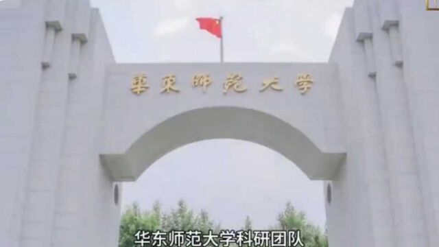 登上《细胞》封面,中国科学家发现减肥新方法