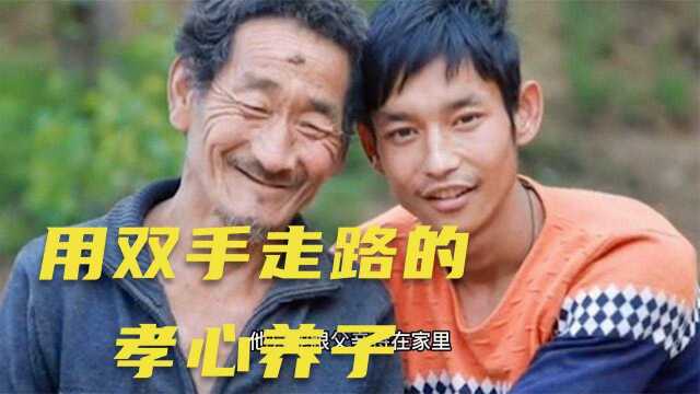 孝心养子,用双手走路29年,养鸡为报恩给单身养父盖新房