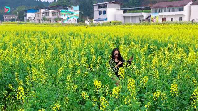 明天,玉峰不见不散!