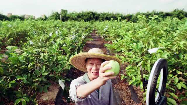 喜报!广东税务4部作品在粤港澳公益微电影大赛中获奖啦~