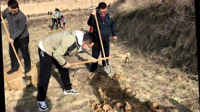 【植树节特辑】铜川市耀州区人民检察院开展义务植树活动