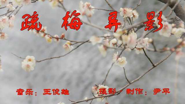 王俊雄【疏梅弄影】