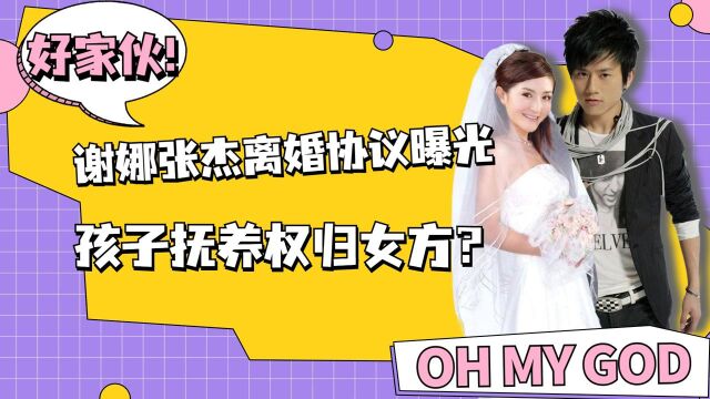 谢娜张杰离婚协议曝光,孩子抚养权归女方?真相令人难以相信