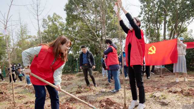 苏逸公司 :党建引领聚合力 巾帼助力“碳达峰”