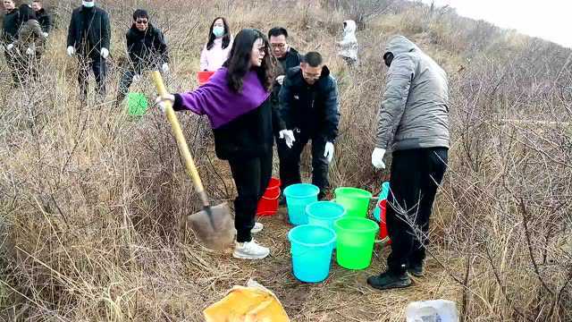 【三晋直通车】盂县住建局组织开展义务植树活动