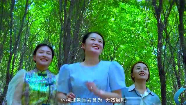 厉害了!亳州这个景区亮相央视《大美中国—春天系列》~