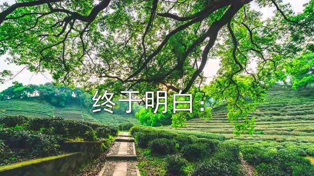 生活,当淡雅如茶