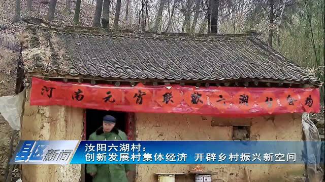 汝阳六湖村:创新发展村集体经济 开辟乡村振兴新空间