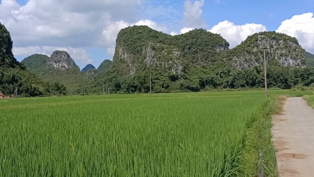 家乡山青水秀,风景美如画,我们一起欣赏吧