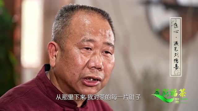 多彩福茶︱“蓦然回首”一泡香气变化无穷的斗茶状元肉桂