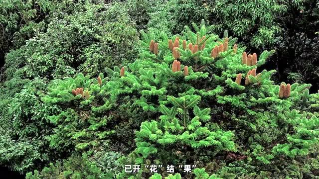 浙江省野生动植物保护宣传月暨第41届“爱鸟周”线上系列宣传活动正式启动