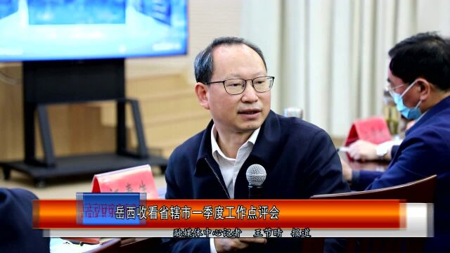 岳西收看省辖市一季度工作点评会