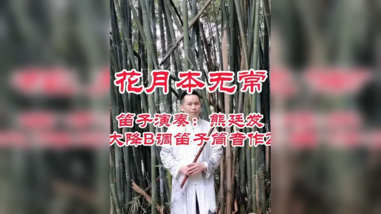 幽静竹林中《花月本无常》倾听大自然的声音#国风古韵#民族乐器