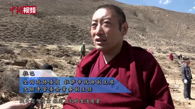 西藏大昭寺启动2800余亩绿化项目助力改善高原生态