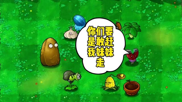 吸金菇:要不是你们把我赶出植物村,我还不能逆袭成功呢! \