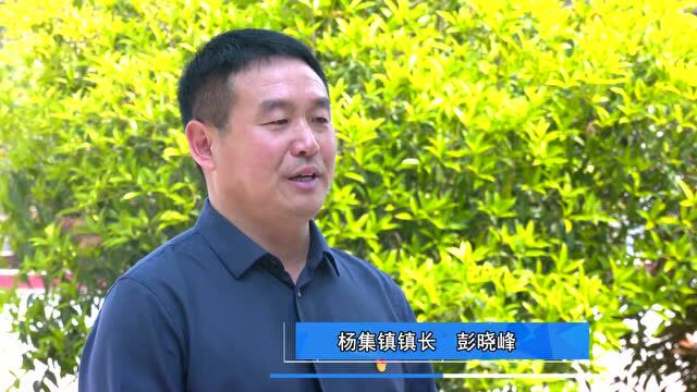 杨集镇:四项举措助推“三零”创建工作见实效