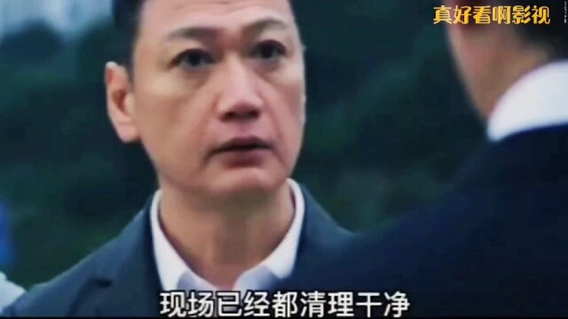 优秀正直的江宁因误伤人而被设计一个神秘组织救了他但条件是接受完成他们的任务