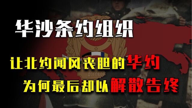 让北约闻风丧胆的华约,实力有多强?为何最后却以解散告终