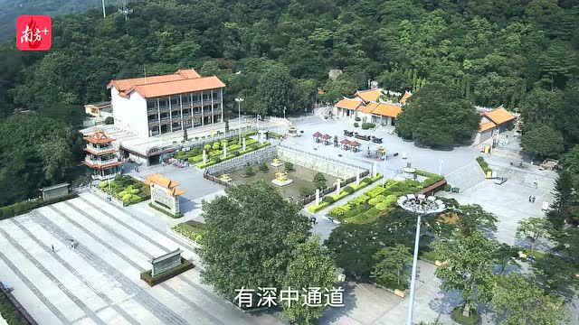 宝安新语 | 航城街道书记罗维:高起点高标准高质量打造国际化湾区门户