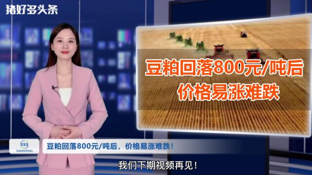 豆粕回落800元/吨后,价格易涨难跌!业内:3个利好支撑后续走势