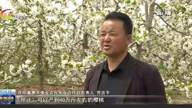 庆城西峰:发展美丽经济 助力乡村振兴