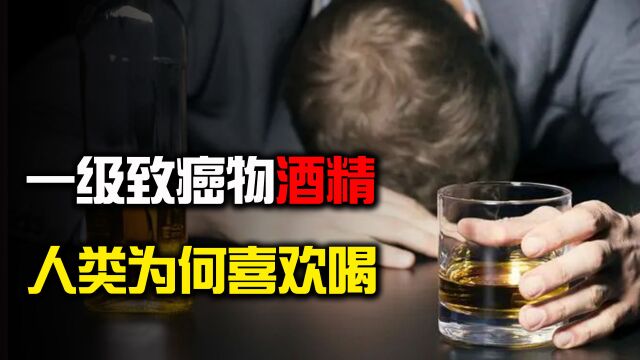 人类为何喜欢喝酒,酒精为何是一级致癌物,一辈子不喝酒会怎样?