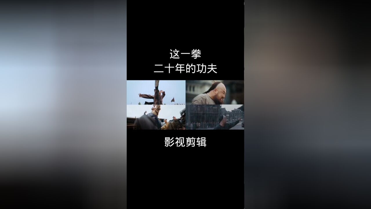 这一拳 二十年的功夫