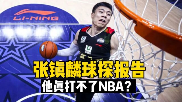 破案了!身体炸裂的张镇麟竟然打不了NBA?球探报告给出答案