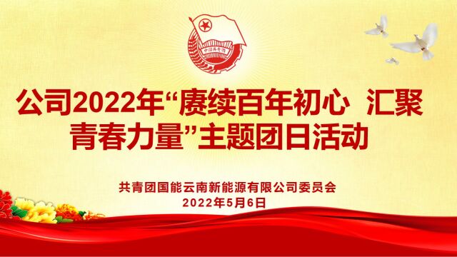 公司2022年“赓续百年初心 汇聚青春力量”主题团日活动