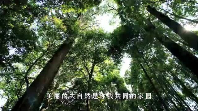 2022六五环境日丨福建省南平市生态环境局唱响《让中国更美丽》