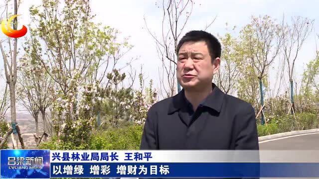 【奋进新征程 建功新时代】吕梁:实施“一廊两带”生态修复战略 擦亮高质量发展的“底色”