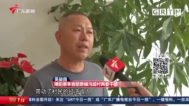 惠来这个地方,如今变身网红地!