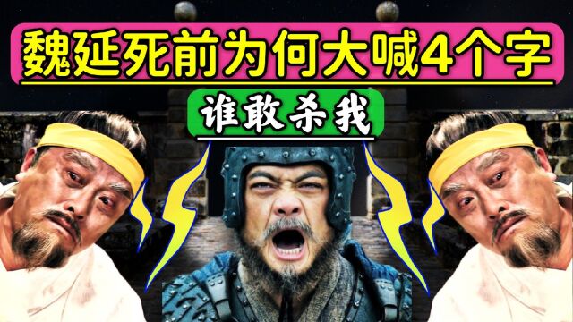 魏延临死前大喊4个字,如今却成为年轻人的“口头禅”,哪4个字