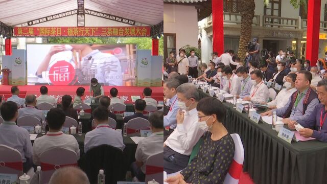 “国际茶日 福茶行天下”,福建发放三千万福茶券,助力福茶消费