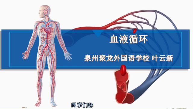 七下血液循环途径 泉州聚龙外国语学校 叶云新