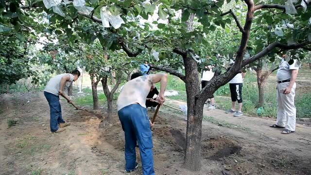 通知丨财政部印发关于财政支持做好碳达峰碳中和工作的意见