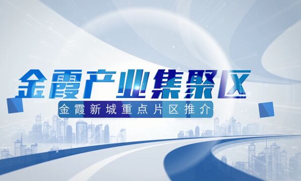 金霞新城 向往之城丨“出圈”片区:金霞产业集聚区