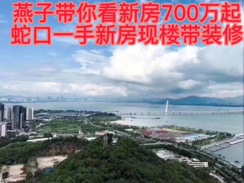 深圳南山蛇口一手新房带装修现楼700W起开卖了