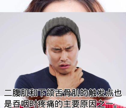 舌头疼之下颌舌骨肌