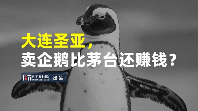 企鹅凭什么 卖到40多万一只?【BT财经说】