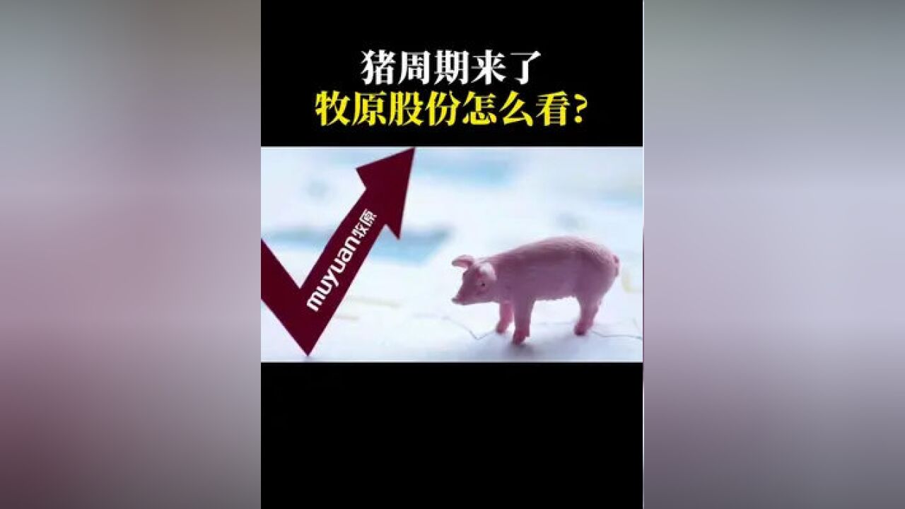 猪周期来了,牧原股份怎么看?#商业思维 #猪 #牧原 #投资理财