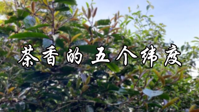 《茶史》言:“茶之妙有三:一曰色,二曰香,三曰味.”