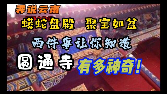 蟒蛇盘殿柱形如聚宝盆两件事告诉你昆明圆通寺为何如此神奇让人叹为观止