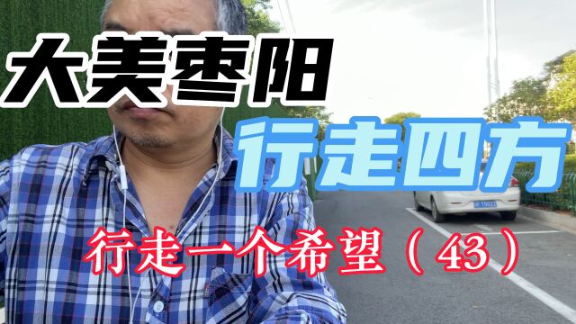 大美枣阳,行走四方,苦寻一个希望(43)用苦行揭示什么是H