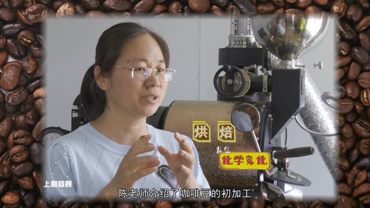 《科学大求真》之一颗豆子的旅程(2)