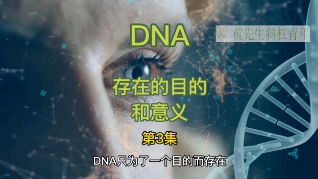 DNA存在的目的和意义