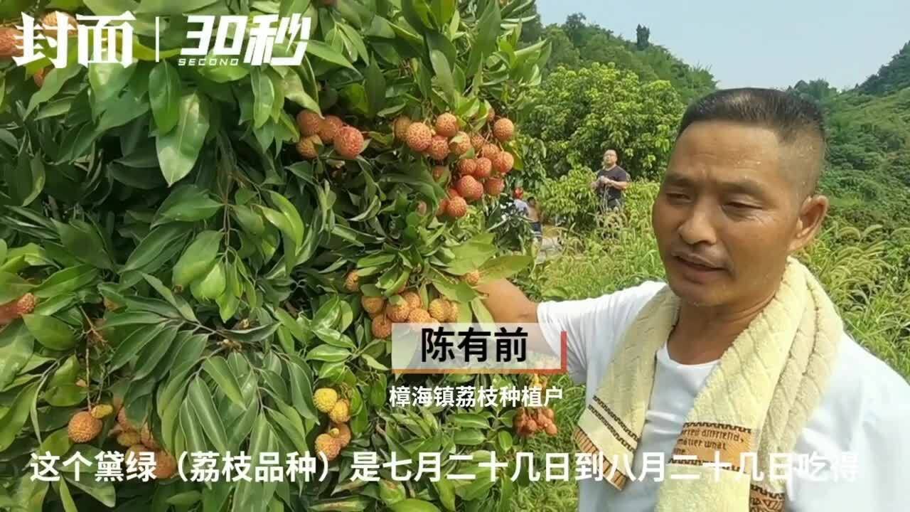 四川宜宾大塔第九届川南荔枝文化节开幕