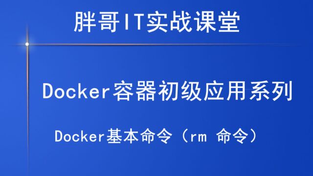 Docker基本命令(rm 命令)上13